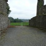 Irland – 3. Tag – Ferns Castle