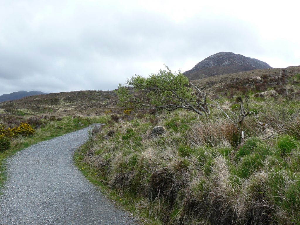 Irland – 5. Tag – Connemara National Park