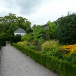 Irland – 8. Tag – Fota Gardens