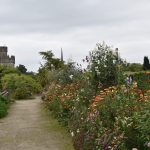 Irland – 7. Tag – Lismore Castle Gardens