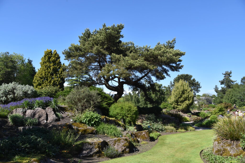 Schottland – Tag 18 – Royal Botanical Garden 