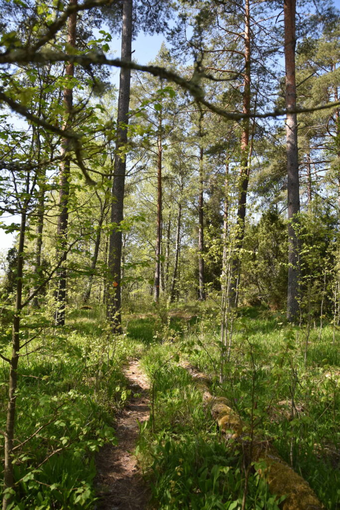 Finnland Tag 10 – Archipelago Trail 5 (Nagu - Pargas)