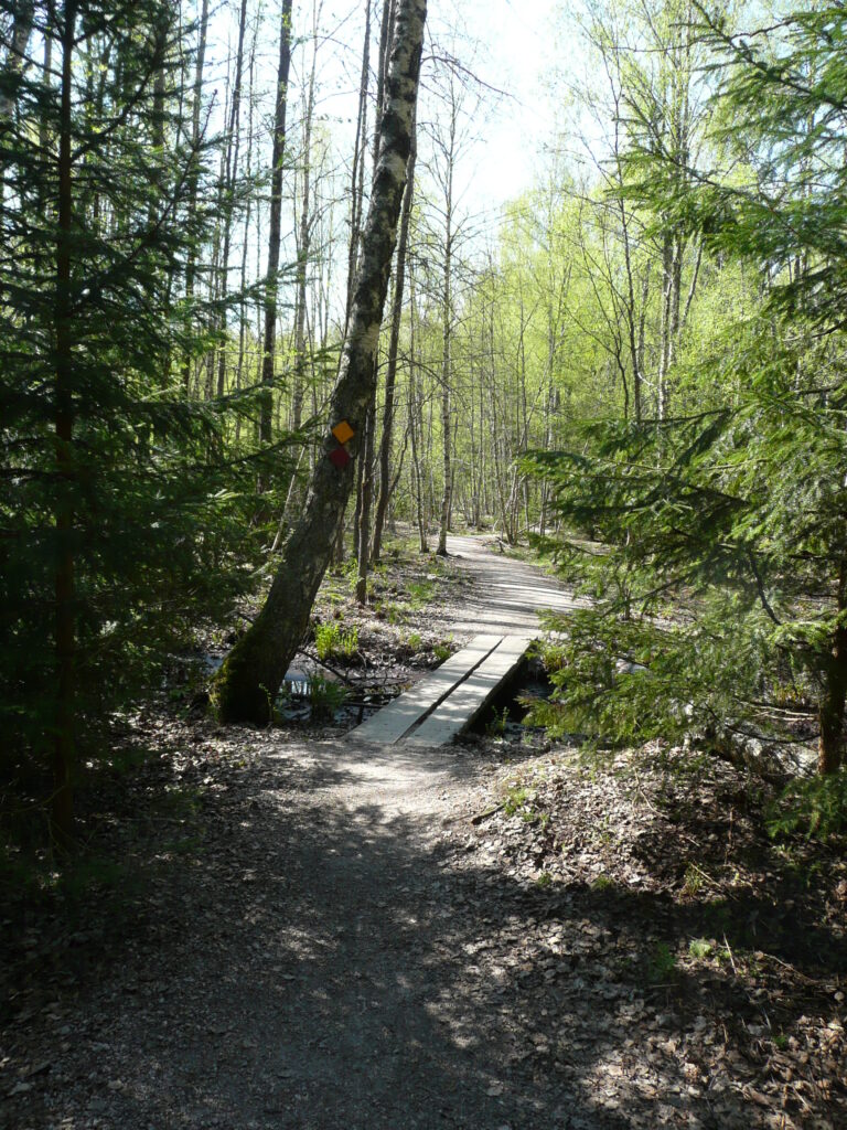 Finnland Tag 2 – Meiko Nature Reserve