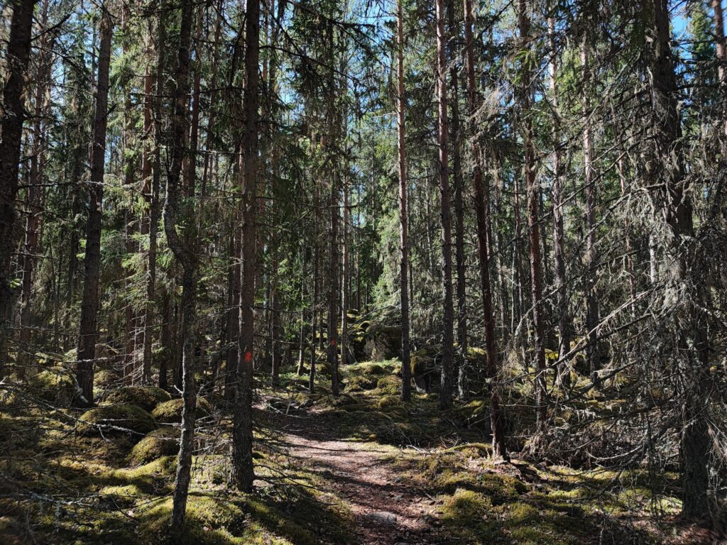Finnland Tag 5 – Pyhäranta & Pahojärven piilokirkko