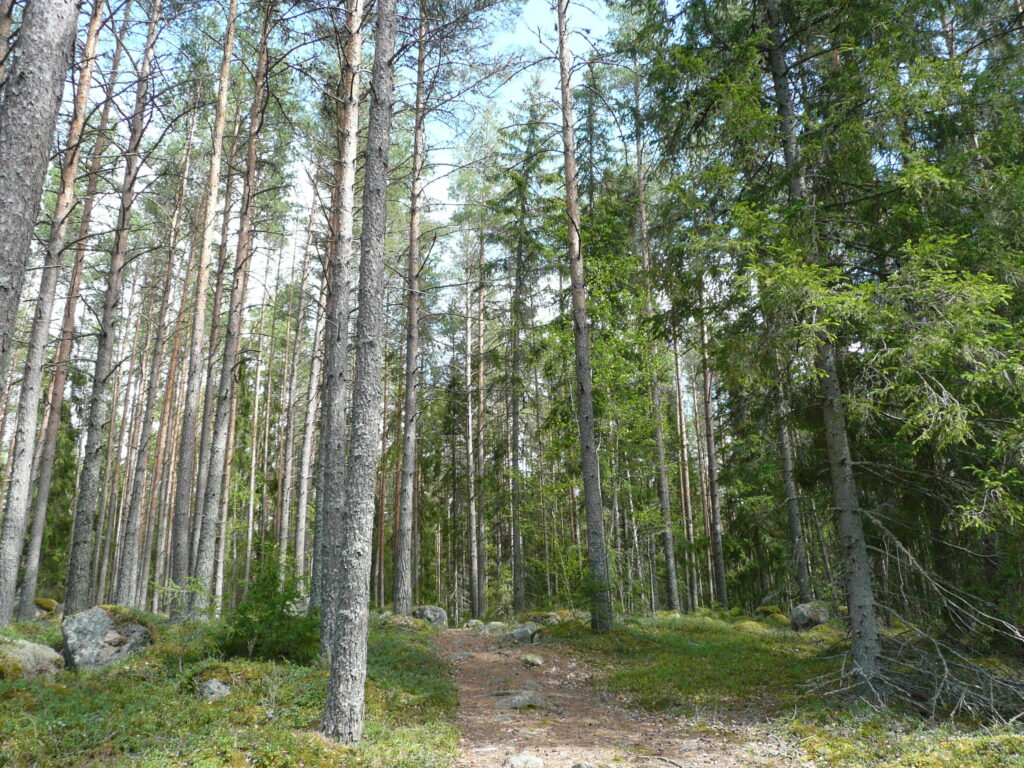 Finnland Tag 5 – Pyhäranta & Pahojärven piilokirkko