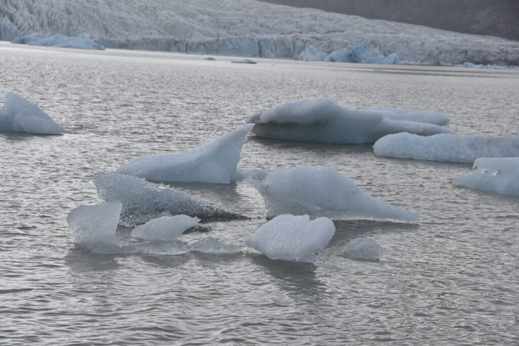 Island Tag 6 – Fjallsárlón