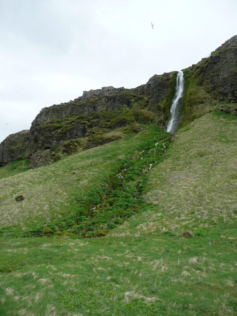 Island Tag 4 – Seljalandsfoss und Gljúfrabúi