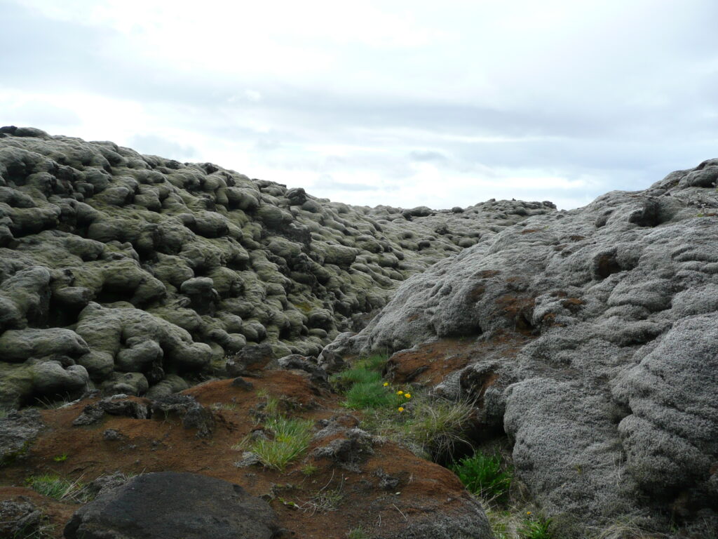 Island Tag 6 – Gönguleið um Eldhraun