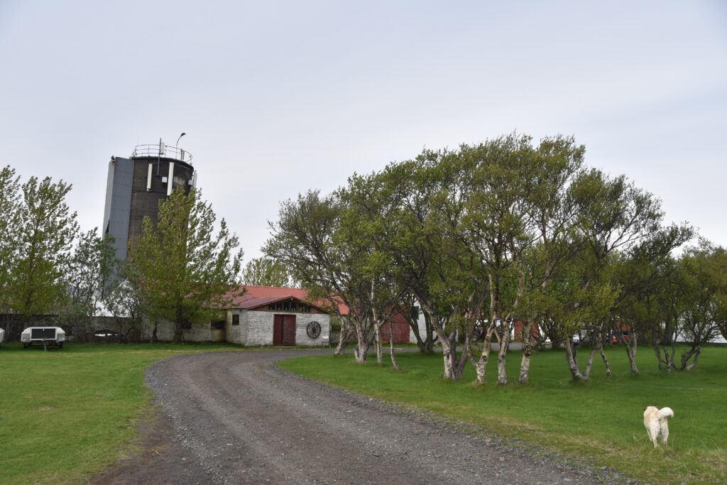 Island Tag 4 – Seljalandsfoss und Gljúfrabúi