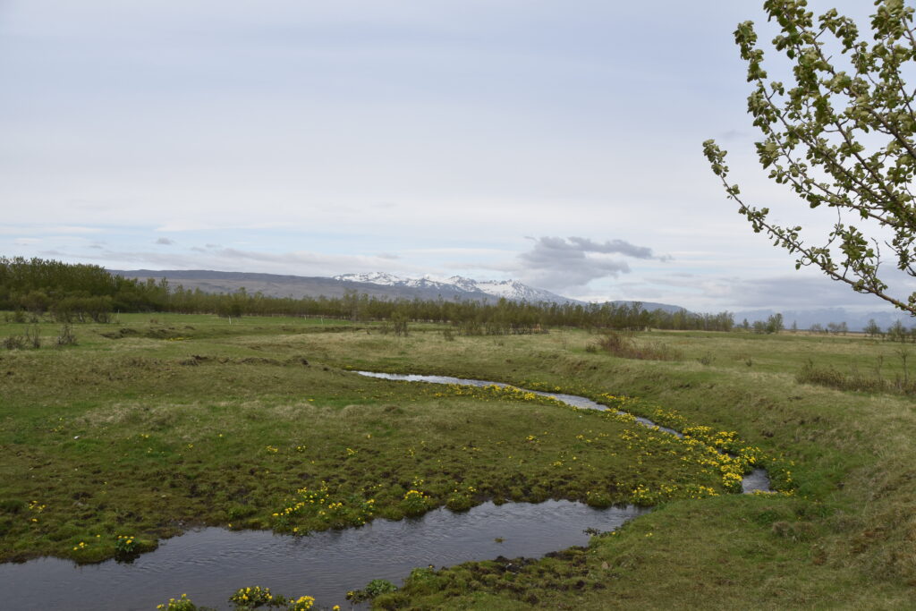 Island Tag 4 – Seljalandsfoss und Gljúfrabúi