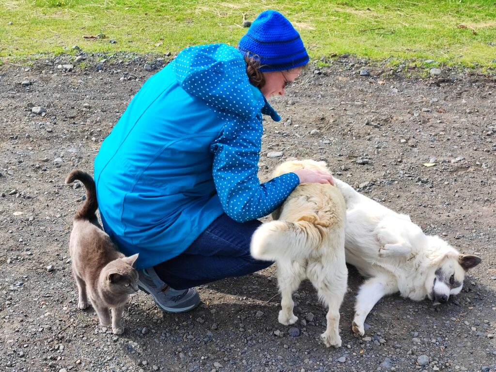 Island Tag 4 – Seljalandsfoss und Gljúfrabúi