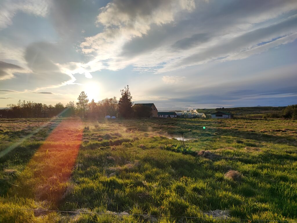 Island Tag 11 – Þingvellir (Thingvellir Nationalpark)