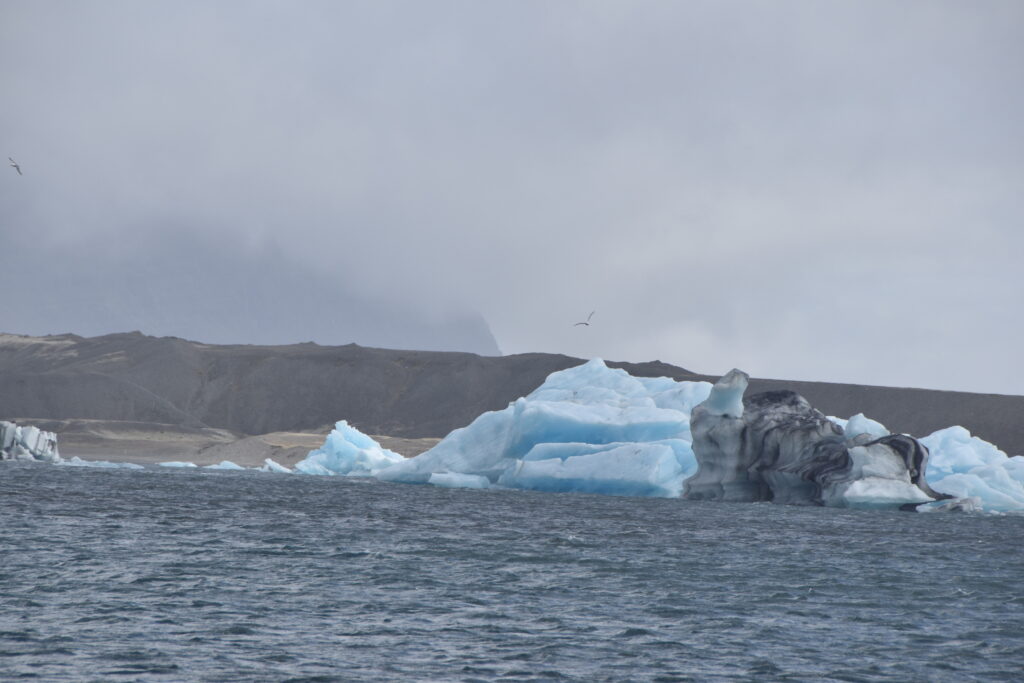 Island Tag 7 – Jökulsárlón / Fellsfjara