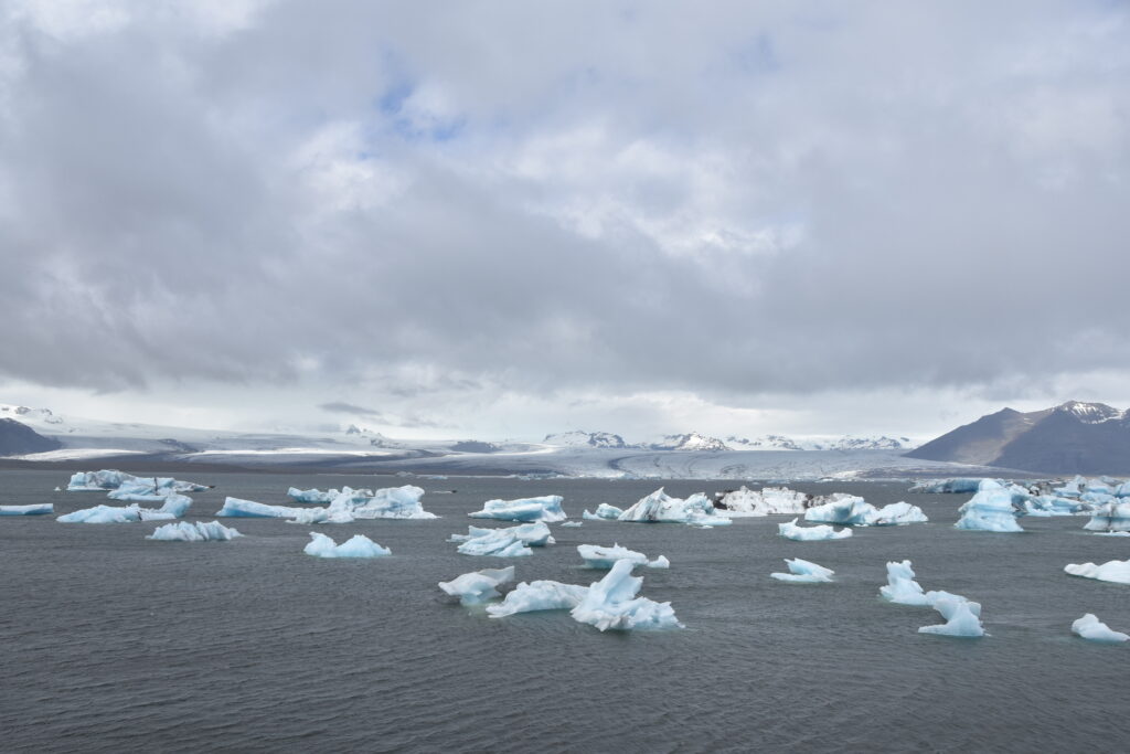 Island Tag 7 – Jökulsárlón / Fellsfjara