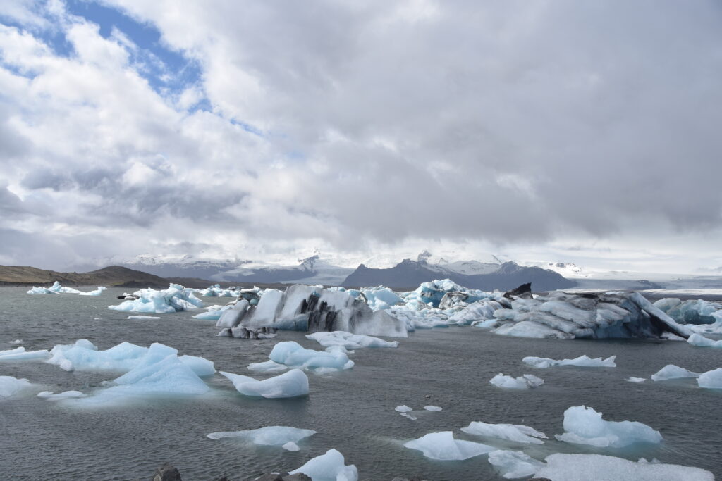 Island Tag 7 – Jökulsárlón / Fellsfjara