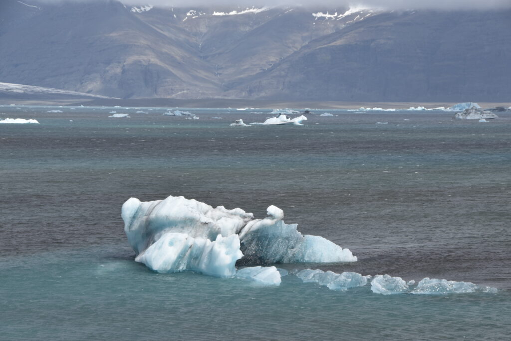 Island Tag 7 – Jökulsárlón / Fellsfjara