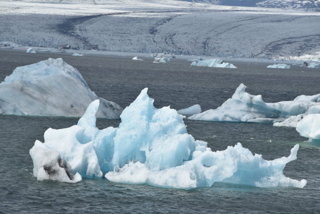 Island Tag 7 – Jökulsárlón / Fellsfjara