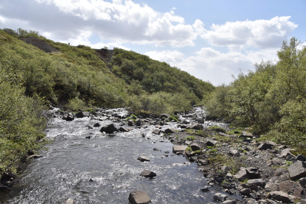 Island Tag 8 – Svartifoss