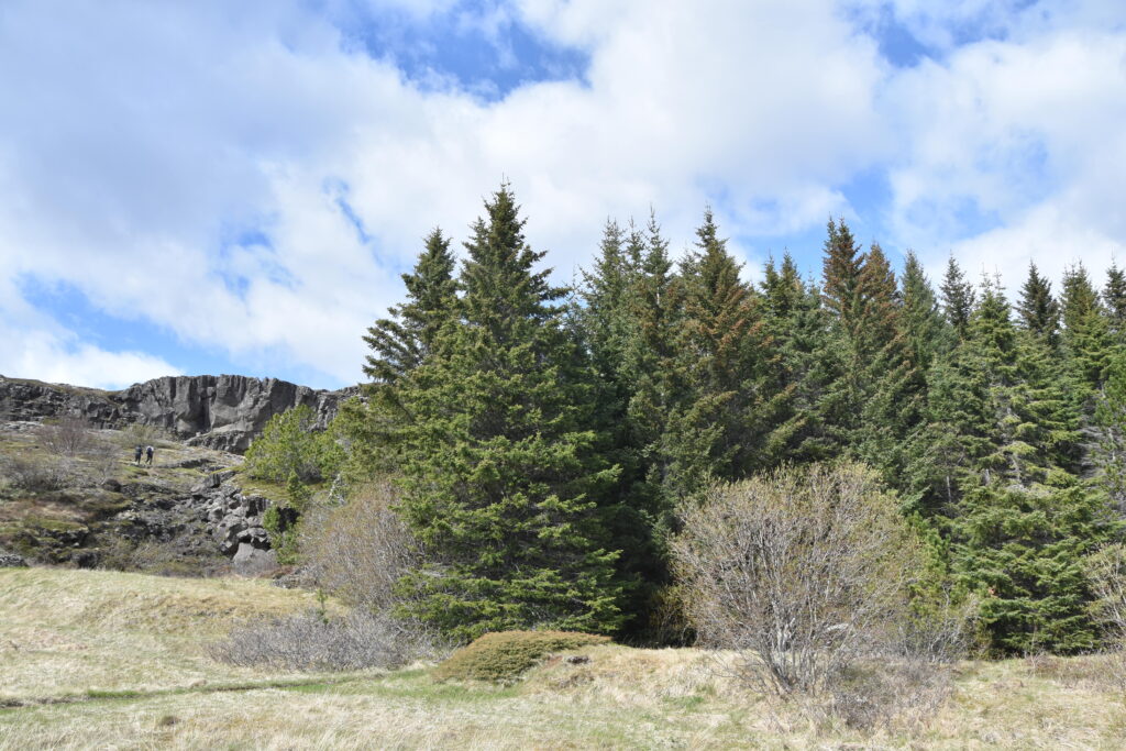 Island Tag 11 – Þingvellir (Thingvellir Nationalpark)