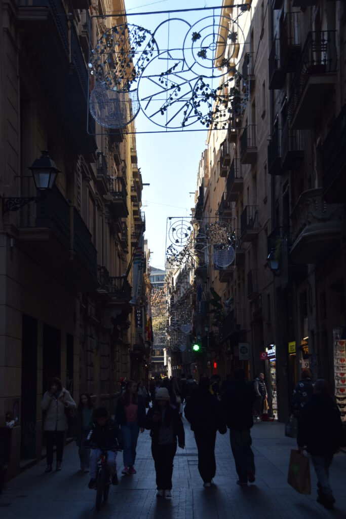 Barcelona Tag 3.1 – Barri Gòtic - La Catedral