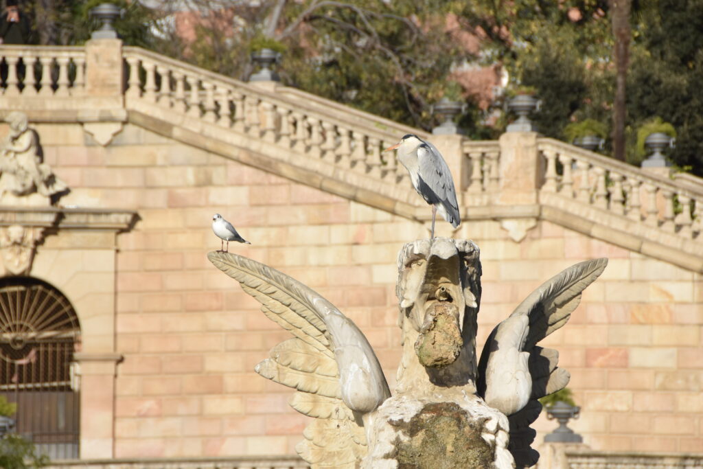 Barcelona Tag 6 – Parc de la Ciutadella, El Born/La Ribera