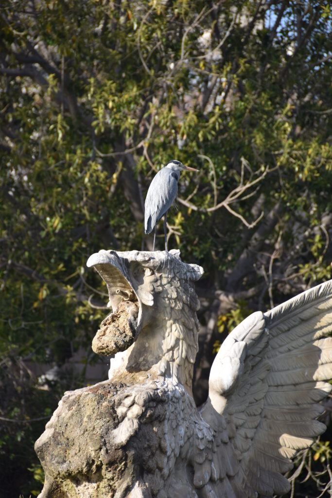 Barcelona Tag 6 – Parc de la Ciutadella, El Born/La Ribera