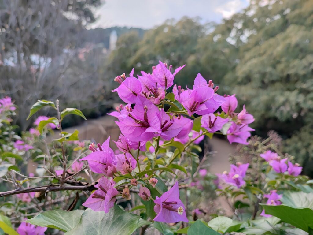 Barcelona Tag 5 – Park Güell