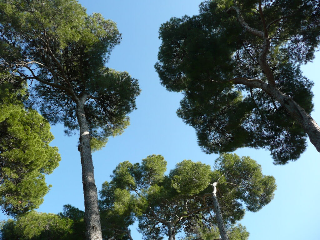 Barcelona Tag 5 – Park Güell