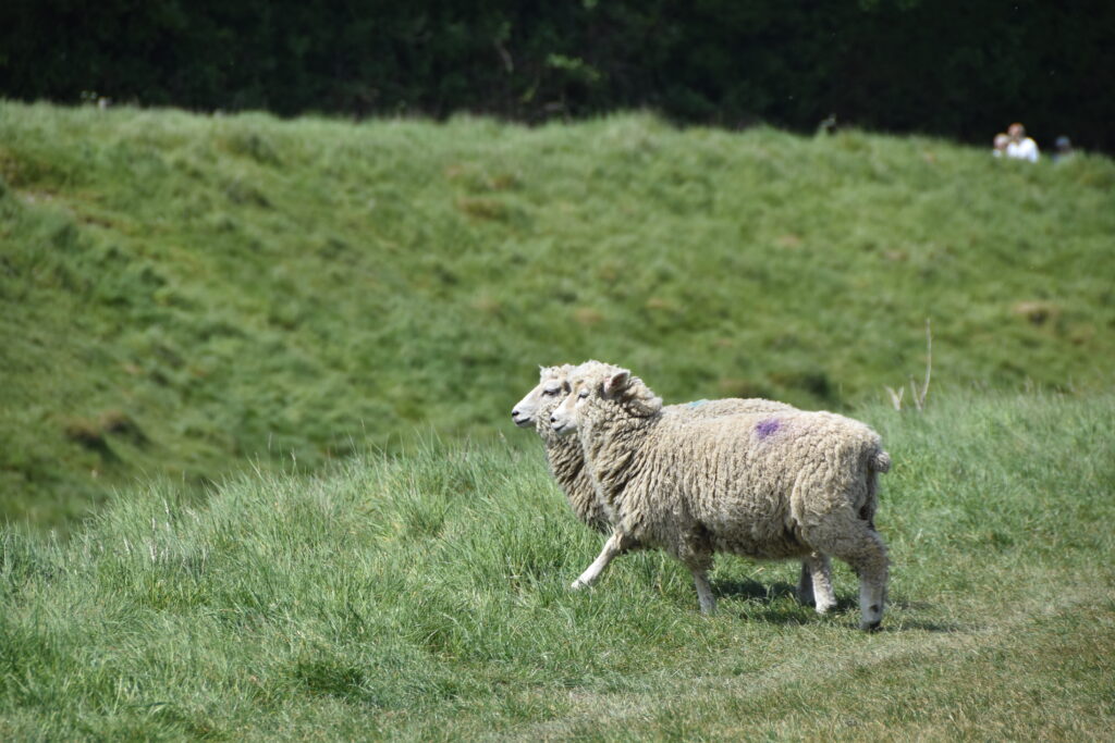Südengland Tag 2 – Avebury