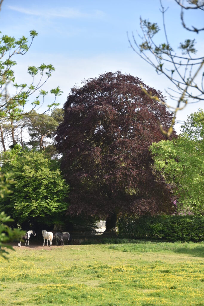Südengland Tag 2 – Avebury