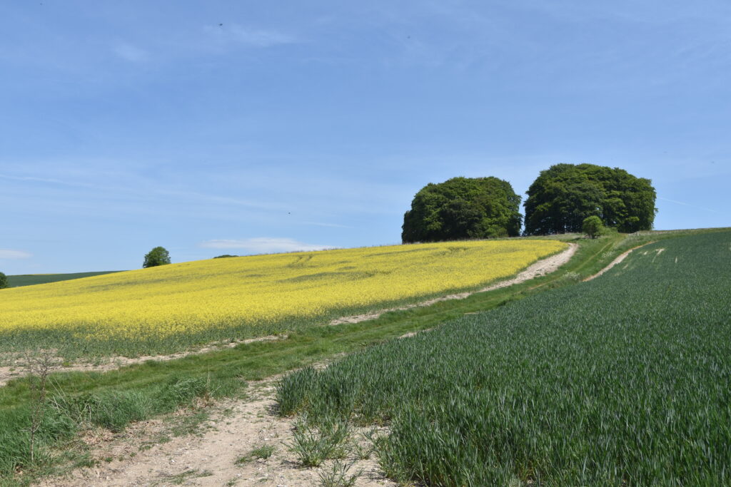 Südengland Tag 2 – Avebury