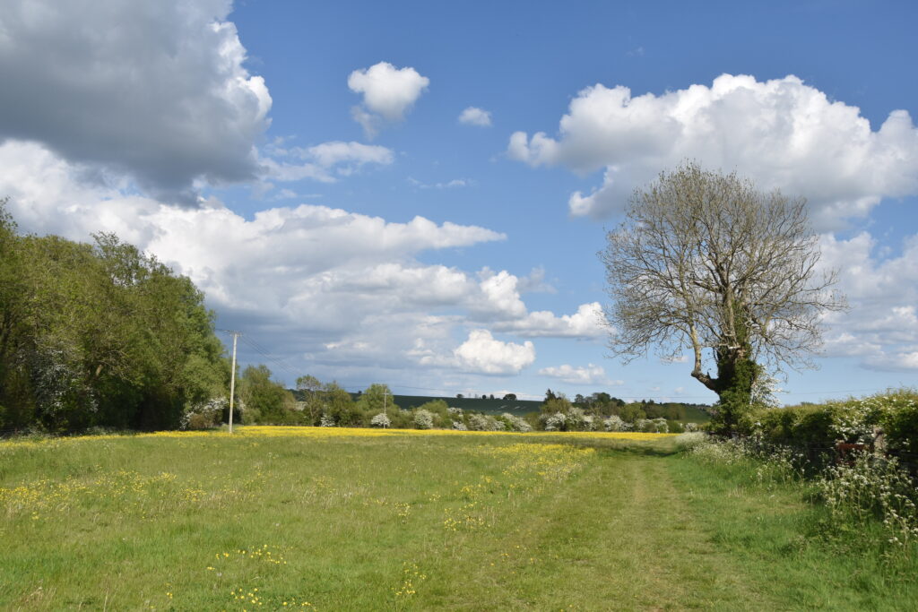 Südengland Tag 2 – Avebury