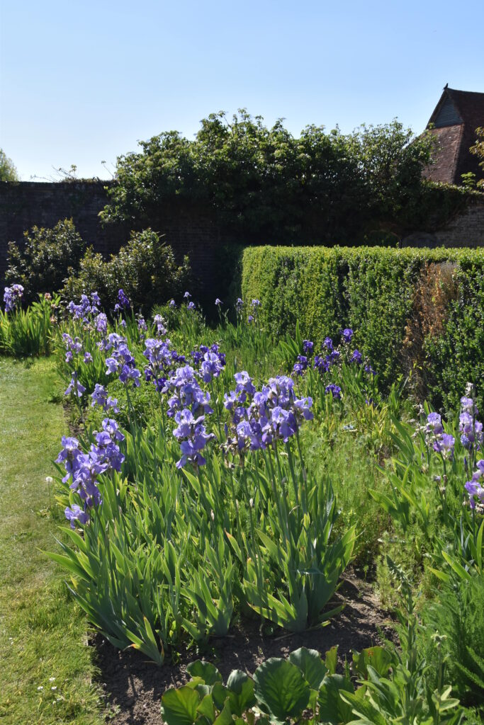 Südengland Tag 7 – Barrington Court