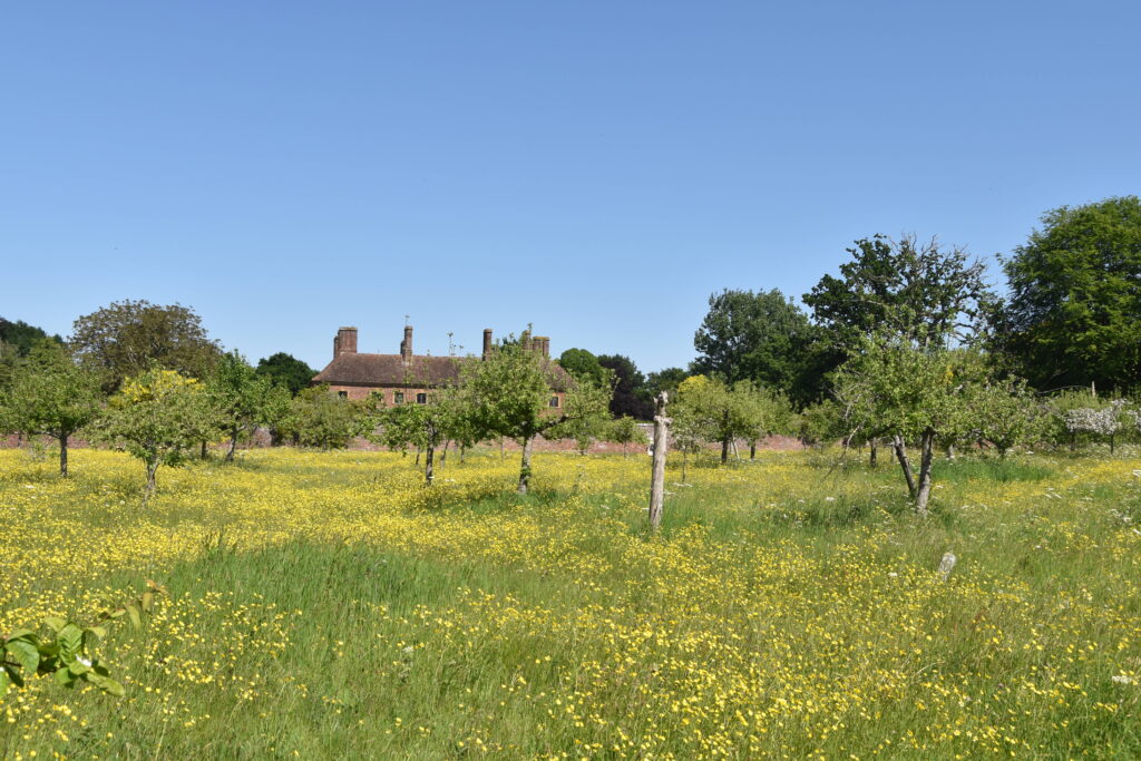Südengland Tag 7 – Barrington Court