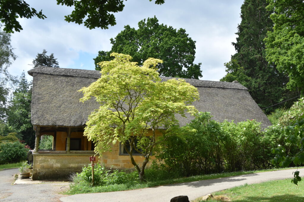 Südengland Tag 17 – Batsford Arboretum