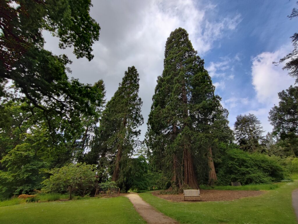 Südengland Tag 17 – Batsford Arboretum