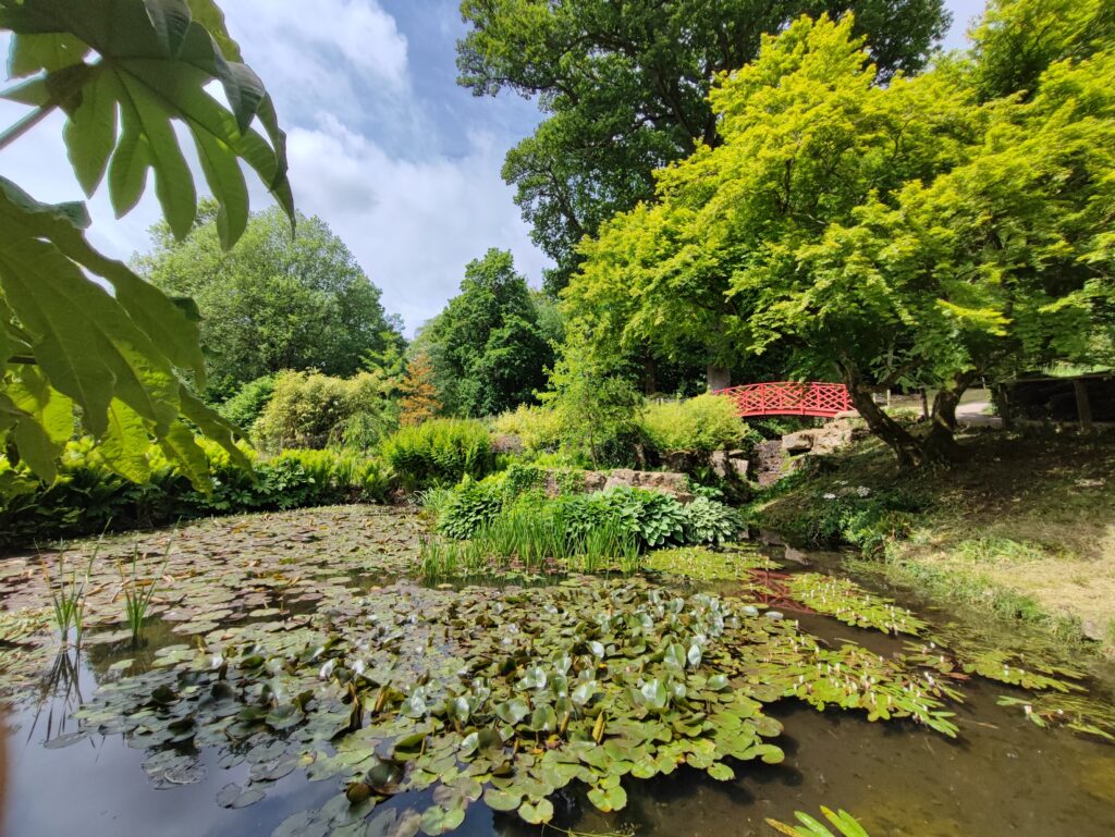 Südengland Tag 17 – Batsford Arboretum