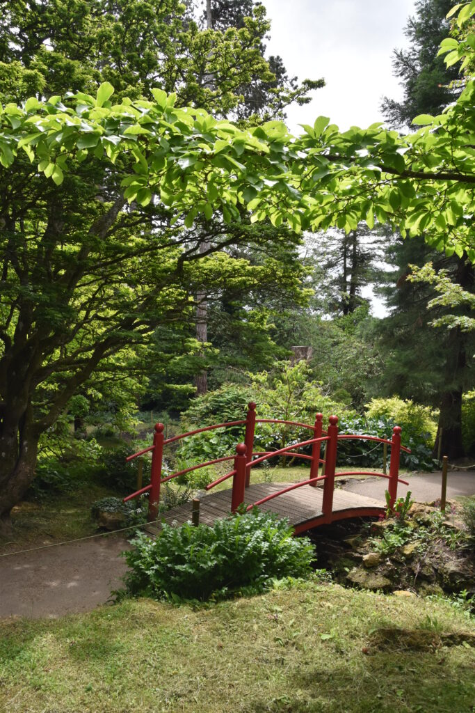 Südengland Tag 17 – Batsford Arboretum