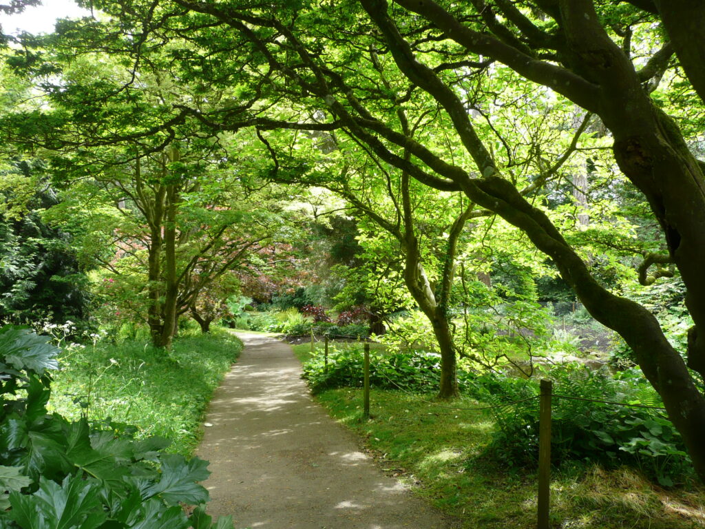 Südengland Tag 17 – Batsford Arboretum