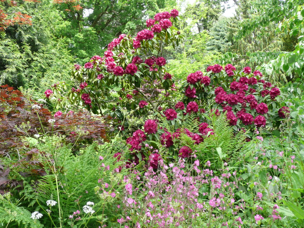 Südengland Tag 17 – Batsford Arboretum