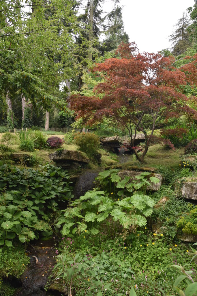 Südengland Tag 17 – Batsford Arboretum