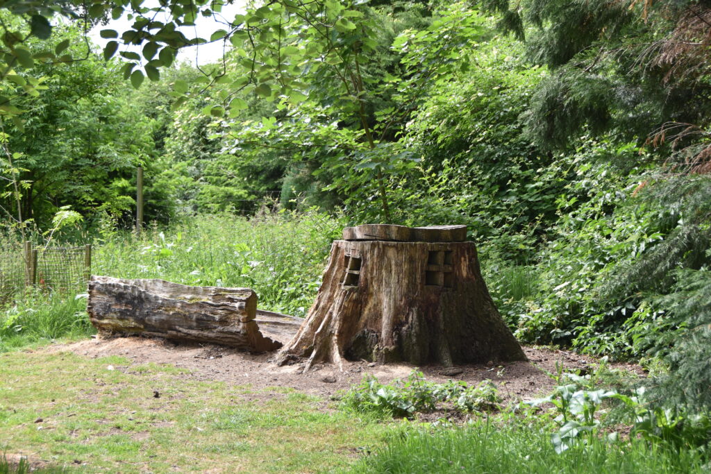 Südengland Tag 17 – Batsford Arboretum