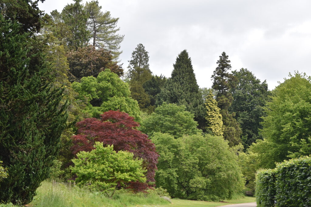 Südengland Tag 17 – Batsford Arboretum