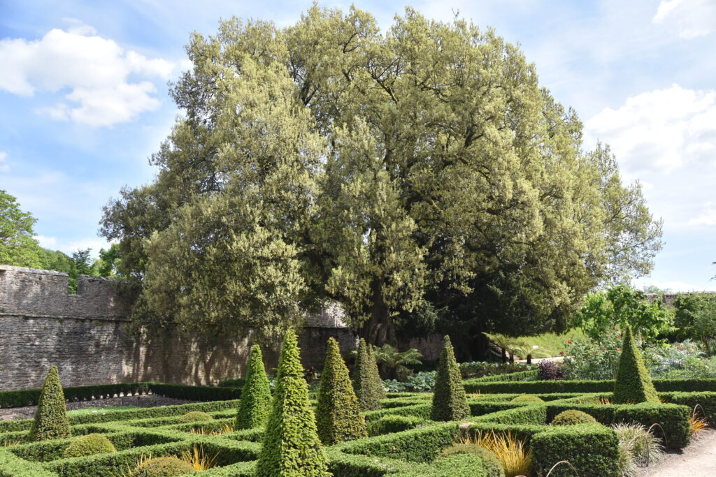 Südengland Tag 11 – Bishop's Palace Wells