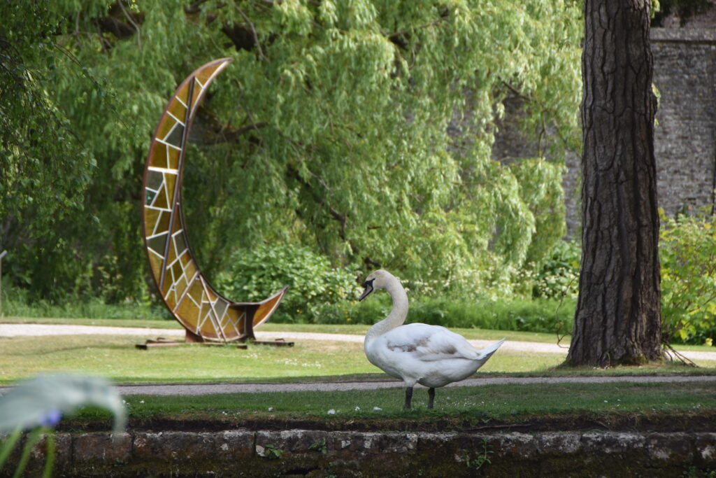 Südengland Tag 11 – Bishop's Palace Wells