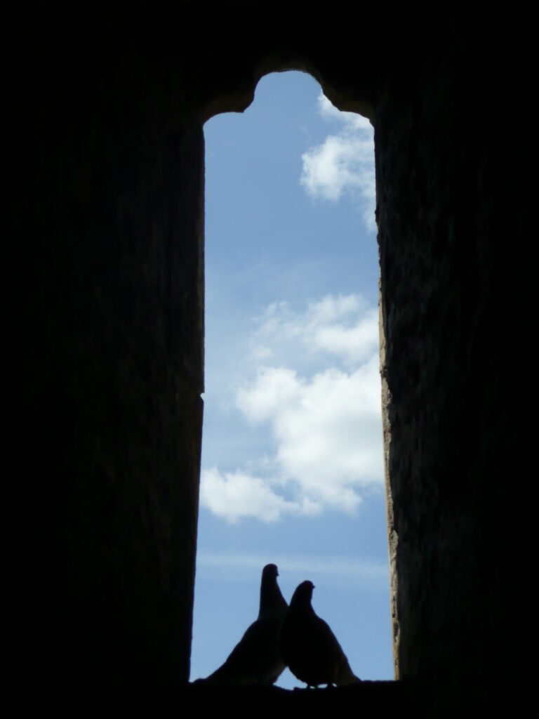 Südengland Tag 11 – Bishop's Palace Wells