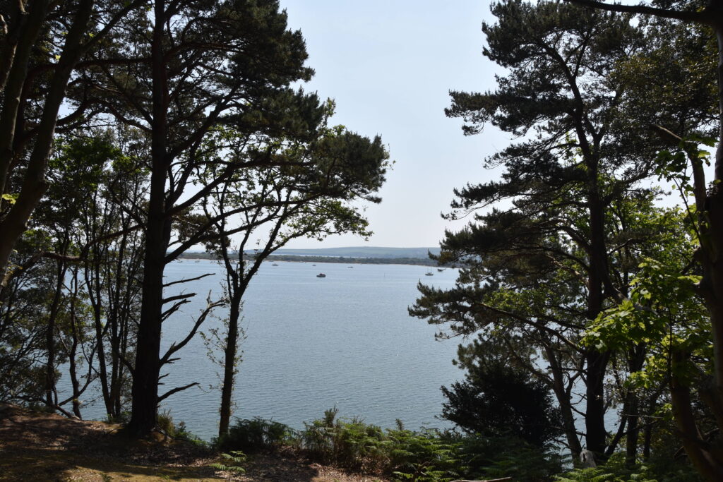 Südengland Tag 5 – Brownsea Island