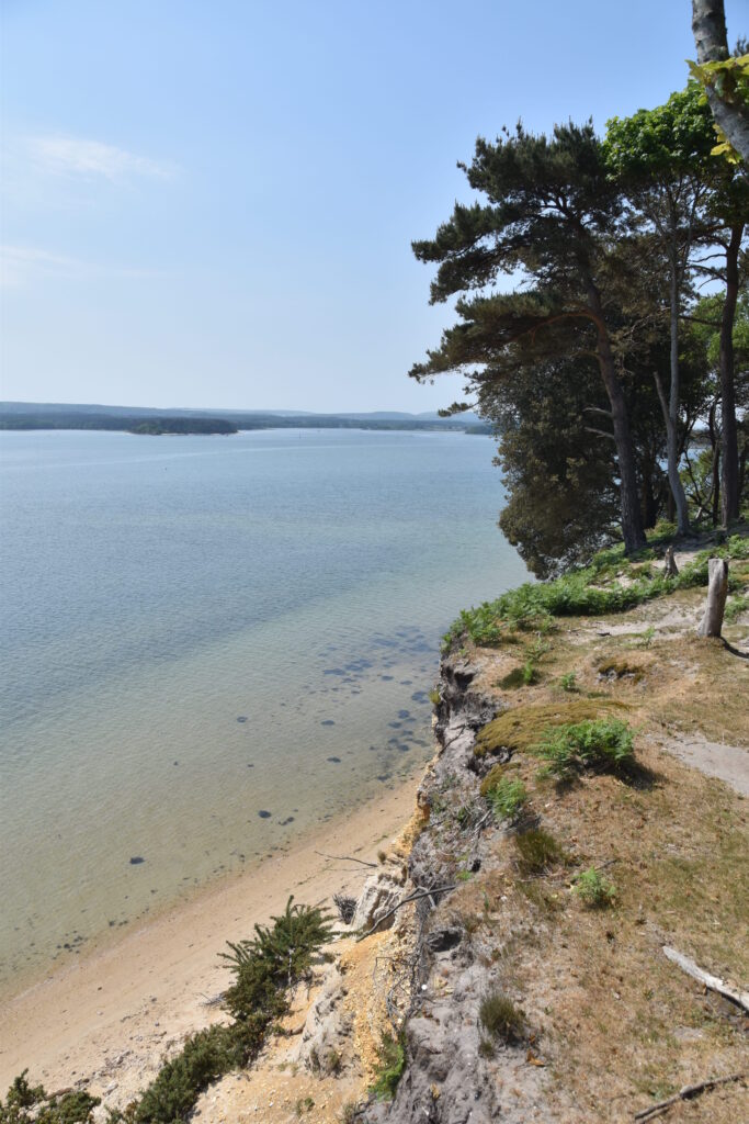 Südengland Tag 5 – Brownsea Island