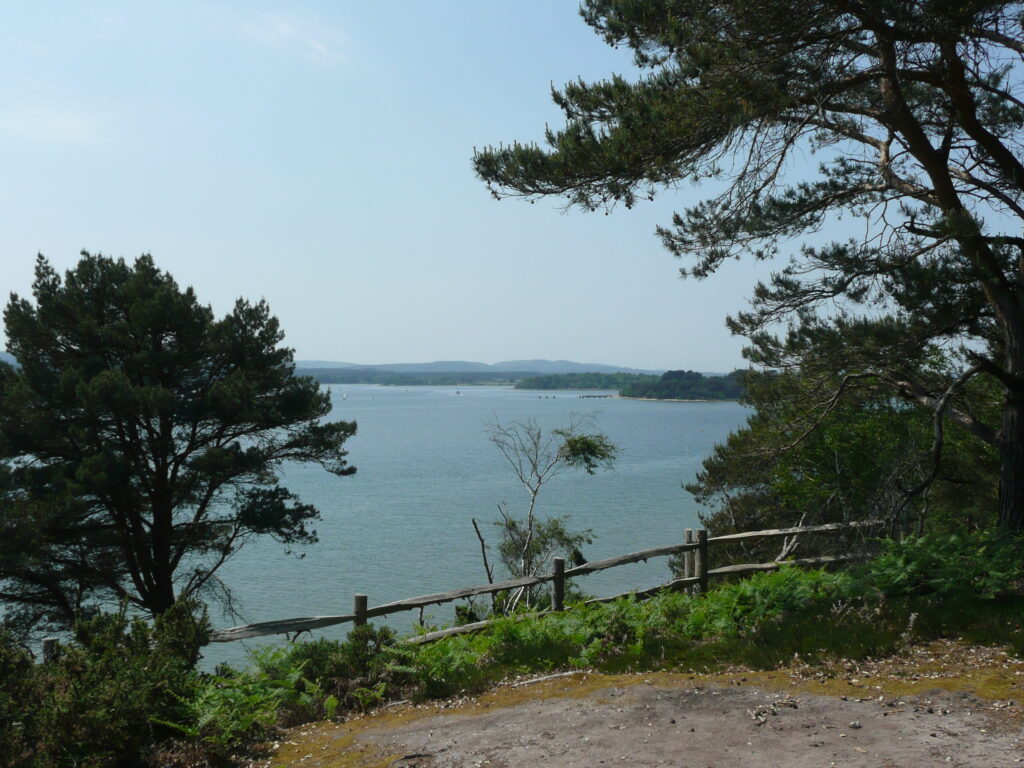 Südengland Tag 5 – Brownsea Island