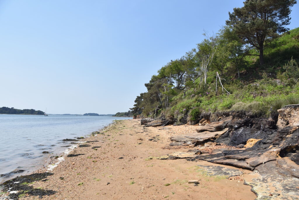 Südengland Tag 5 – Brownsea Island